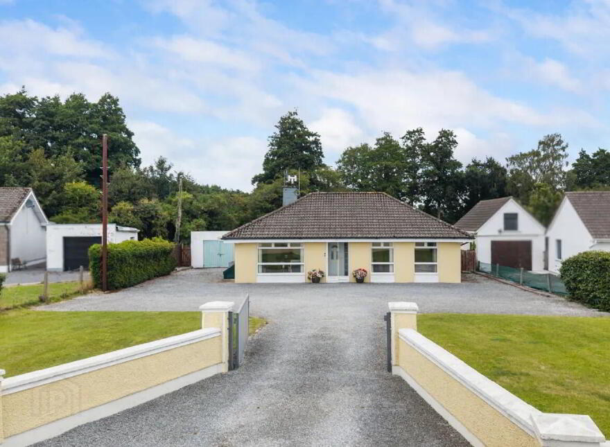 Sheepwalk, Fermoy, P61X466 photo