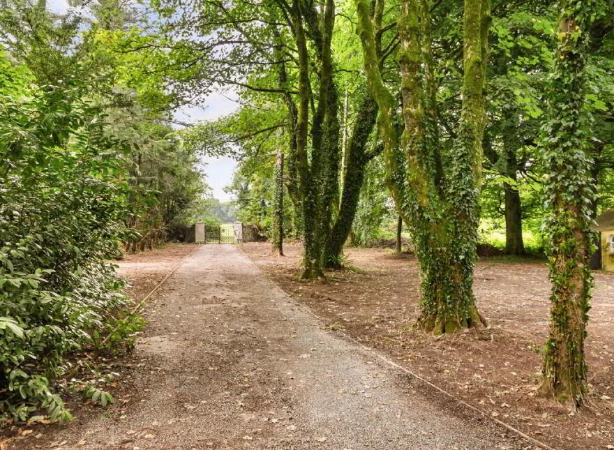Comeragh House, Lemybrien, X42FK71