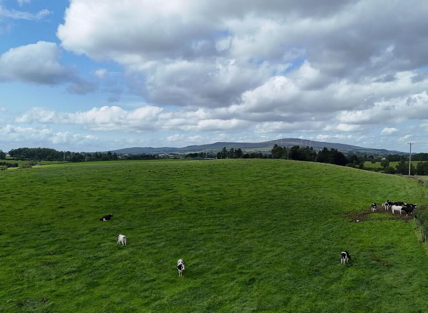 Gortnagarn Road, Omagh, BT79 7SW