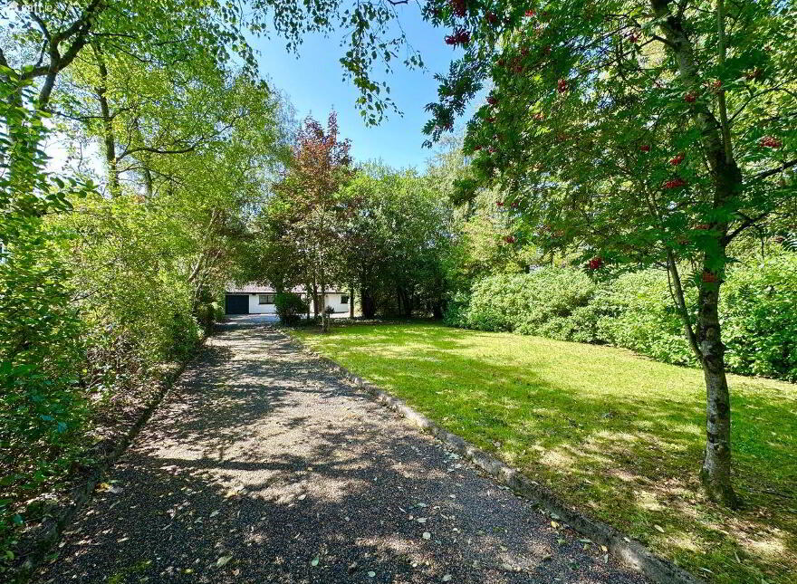 56 Killyconnigan, Monaghan Town
