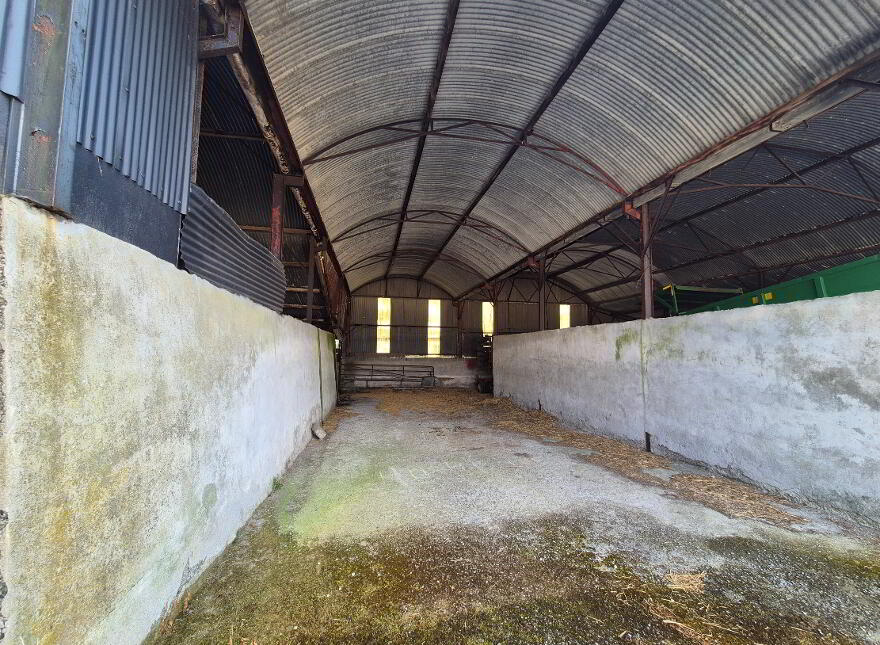 Johnstown, Bennekerry, Carlow, R93K302