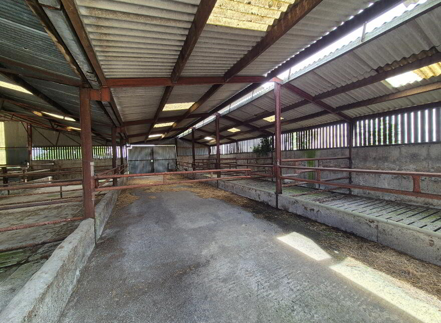Johnstown, Bennekerry, Carlow, R93K302