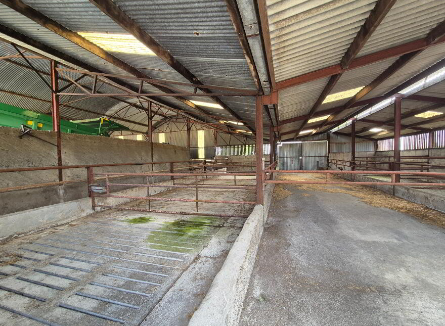 Johnstown, Bennekerry, Carlow, R93K302