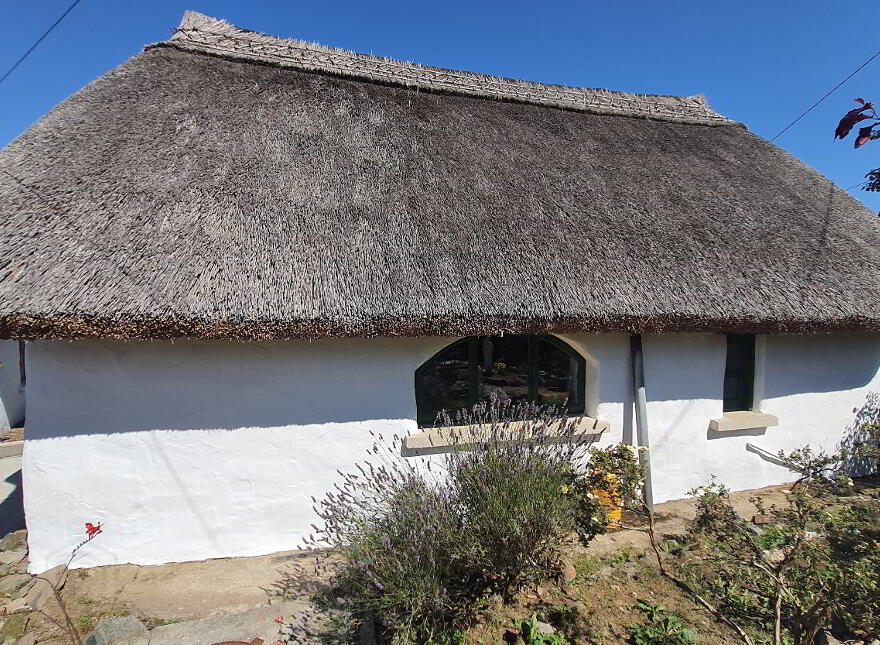 Cailinrua, Tomnalossett, Enniscorthy