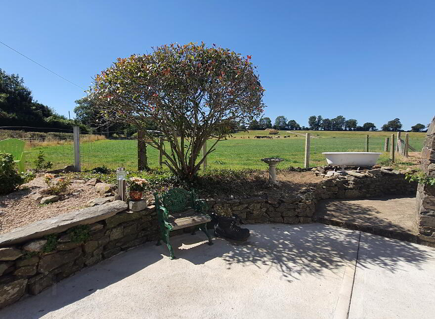 Cailinrua, Tomnalossett, Enniscorthy