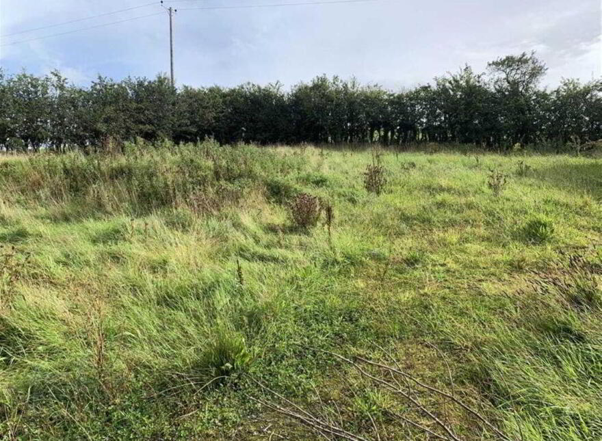 (Lot 31) 20 Kinallen Road, Dromore, BT25 2NW