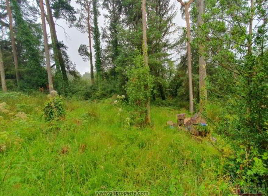 The Gateway, Drumkeeran, N41Y744