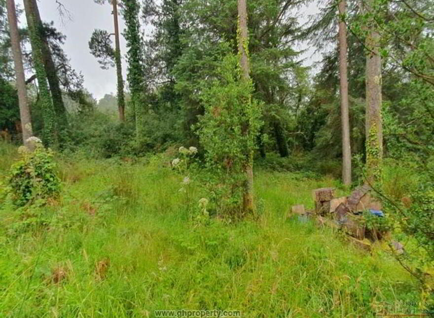 The Gateway, Drumkeeran, N41Y744
