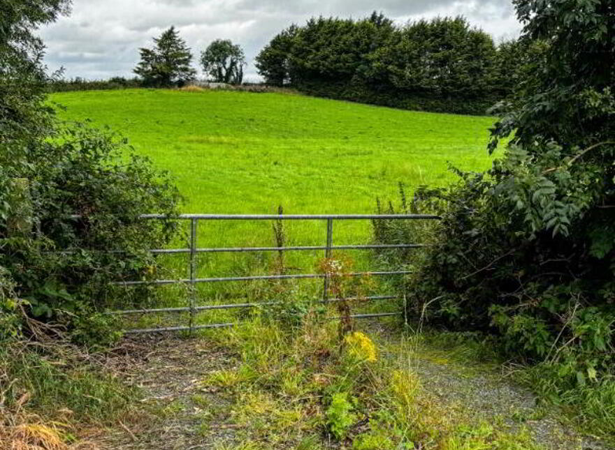 C. 4 Acres In Ballymacnab, Armagh, BT60 2QU