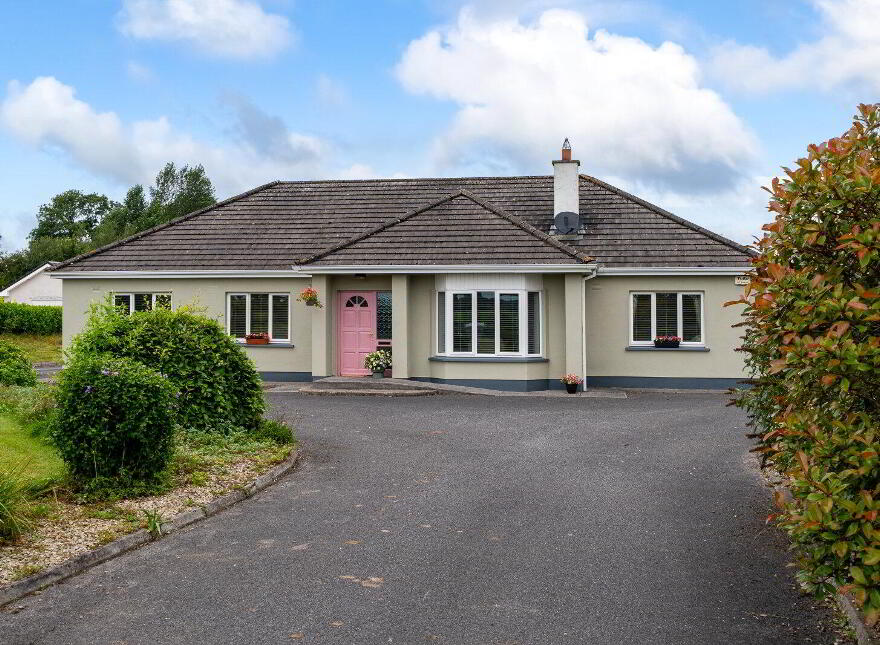Kilmucklin, Clara, R35TX37 photo