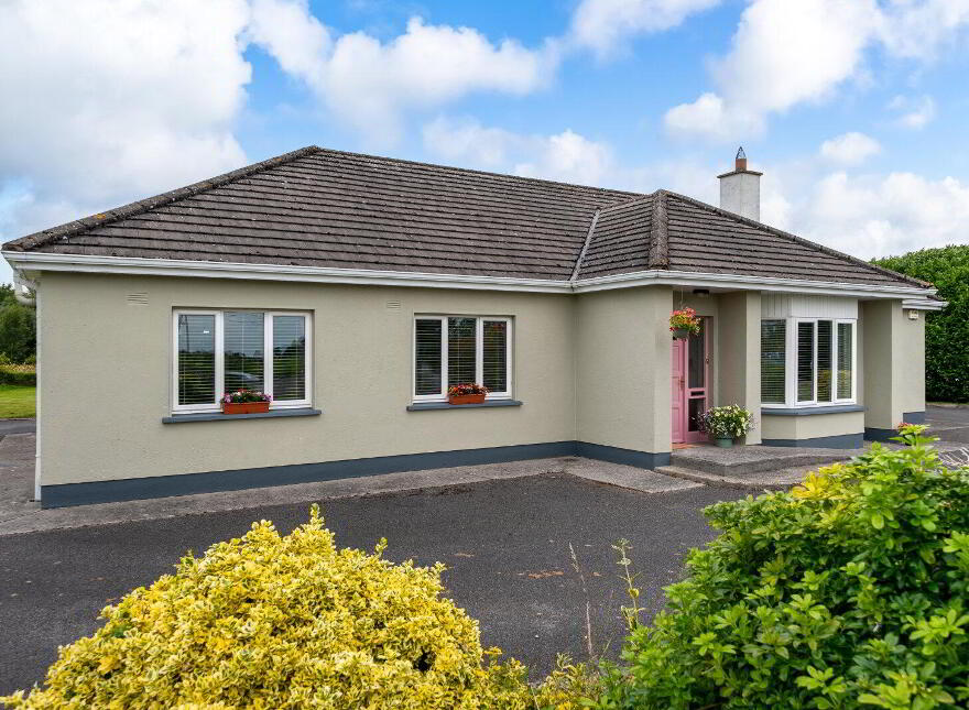 Kilmucklin, Clara, R35TX37