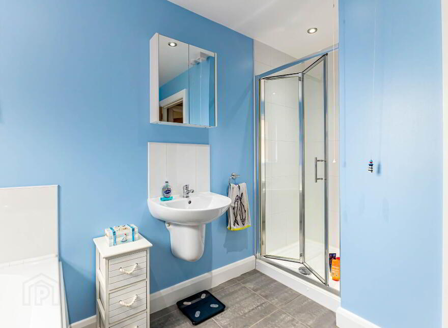 3 Rosebank Court, Ballinderry Road, Lisburn, BT28 2ZF