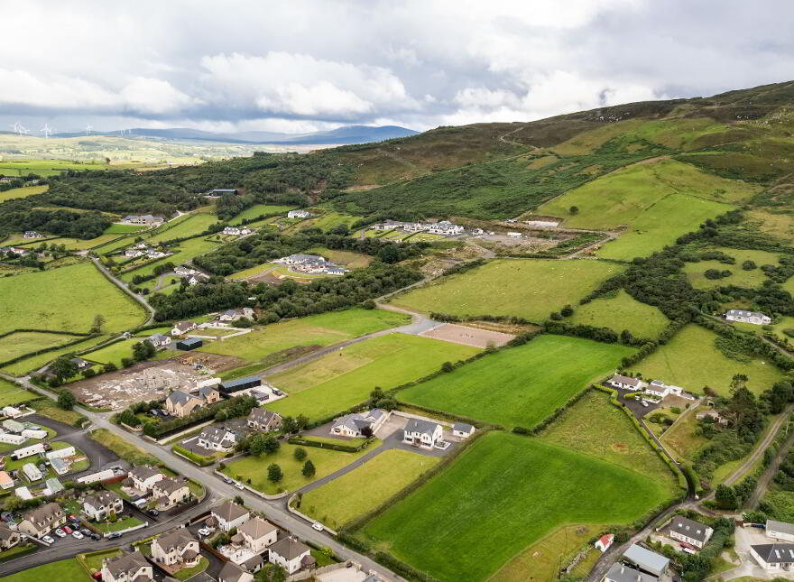 Luddan Plot, Buncrana