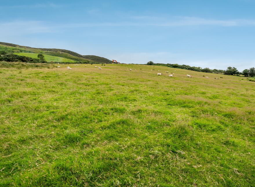 Luddan Plot, Buncrana