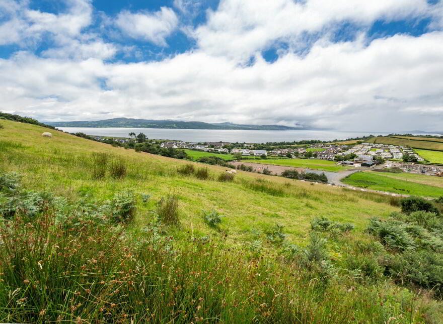 Luddan Plot, Buncrana