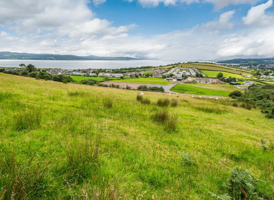 Luddan Plot, Buncrana