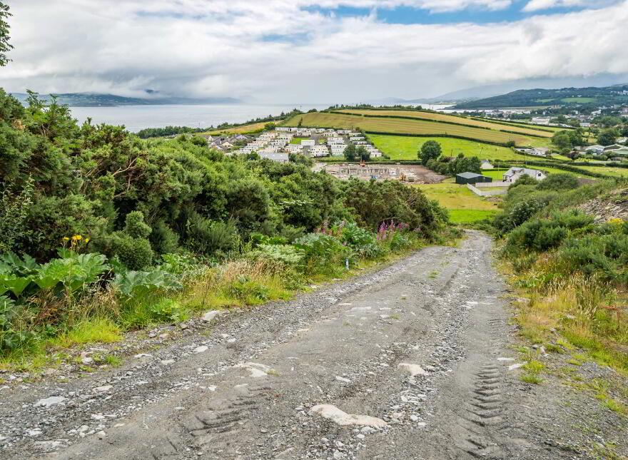 Luddan Plot, Buncrana
