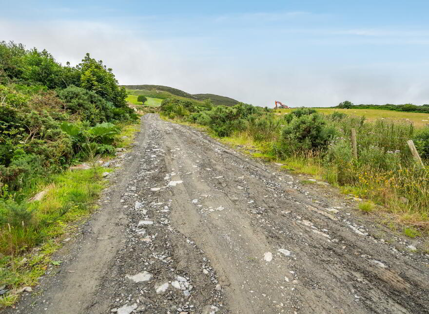 Luddan Plot, Buncrana
