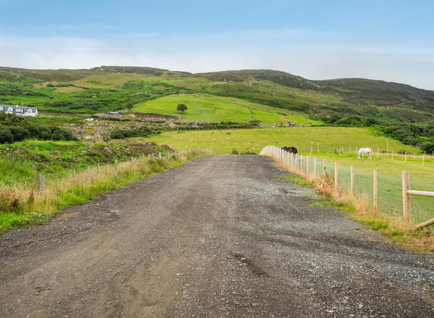 Luddan Plot, Buncrana