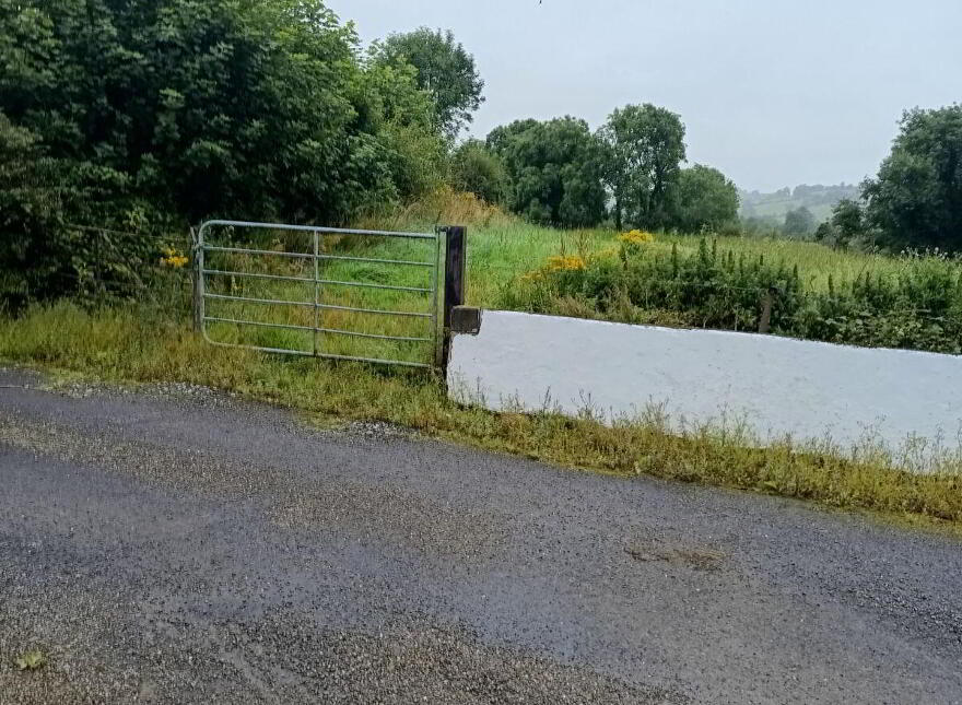 Derryvinnaan, Sixmilebridge, Ennis, Oatfield