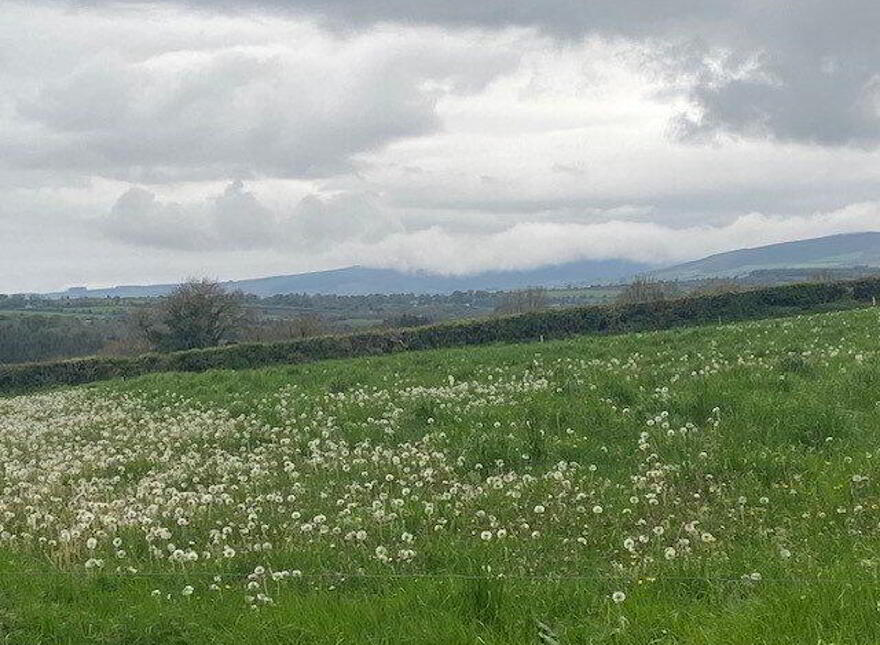Site B At Ballyminane Mills, Enniscorthy photo
