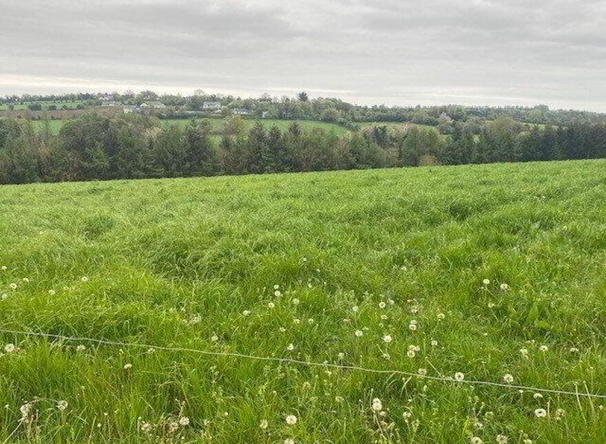 Site B At Ballyminane Mills, Enniscorthy