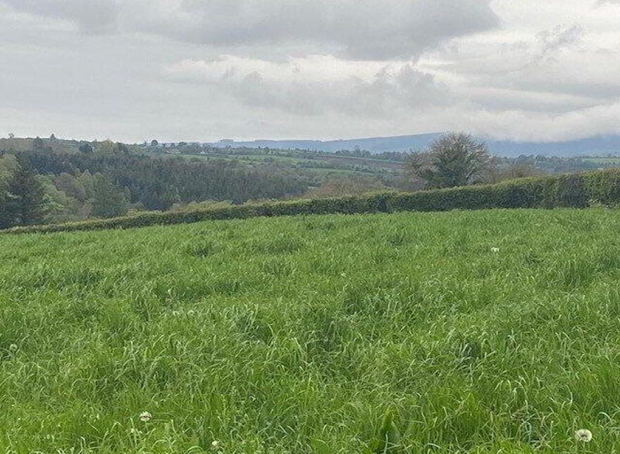 Site B At Ballyminane Mills, Enniscorthy