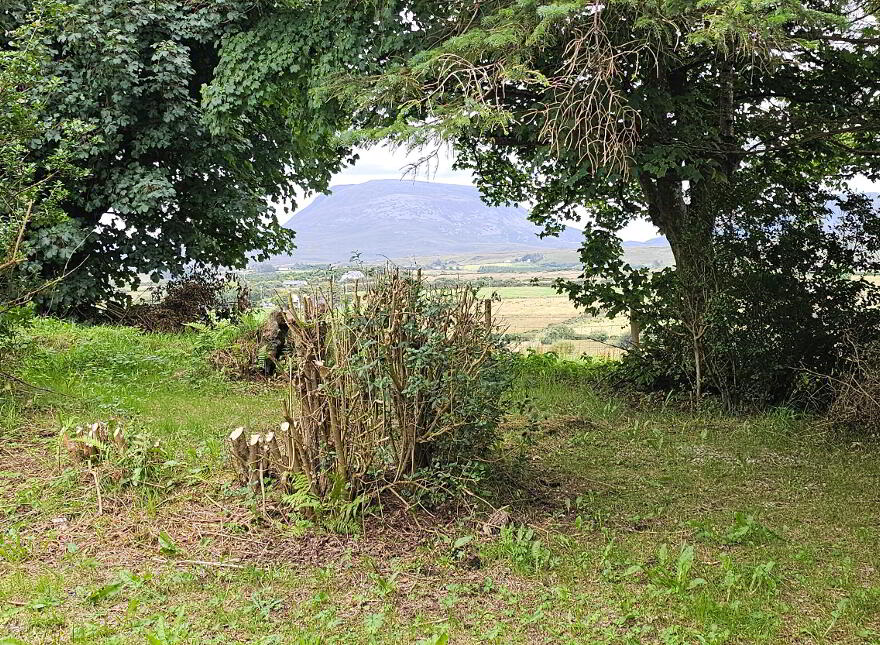 Cashel, Gortahork