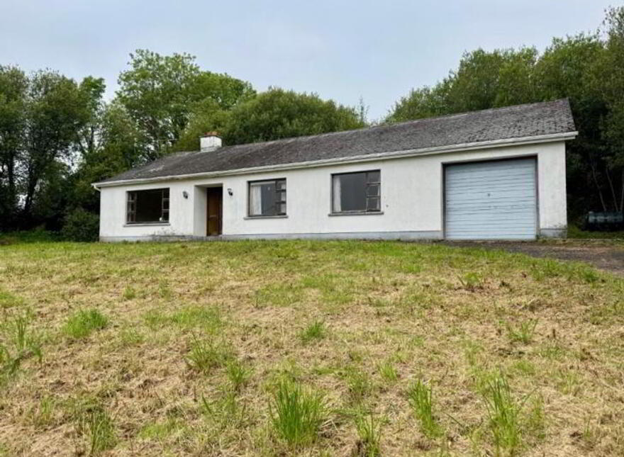 Aghaleague, Ballinamore, N41Y009 photo