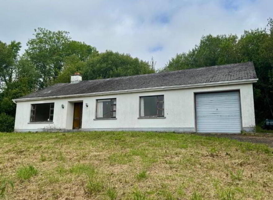 Aghaleague, Ballinamore, N41Y009