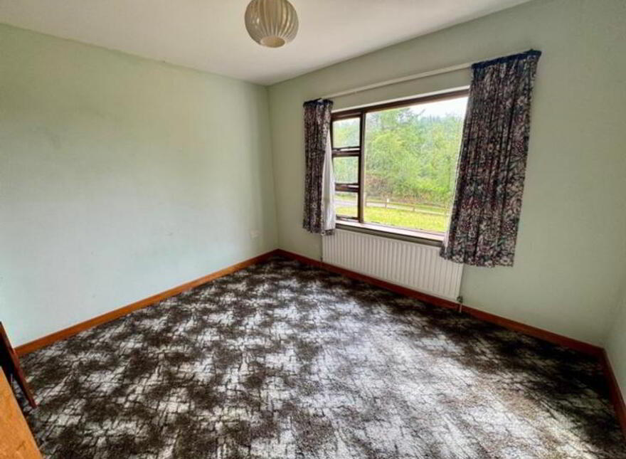 Aghaleague, Ballinamore, N41Y009