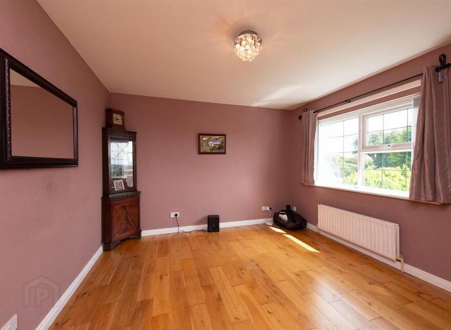 24 Scaddy Road, Downpatrick, BT30 9BP