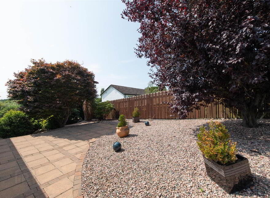 24 Scaddy Road, Downpatrick, BT30 9BP