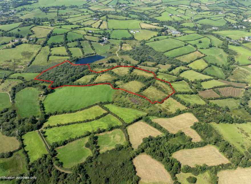 16 Acres @, Corleckduff, Shercock photo