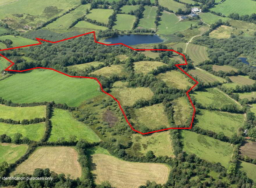 16 Acres @, Corleckduff, Shercock photo