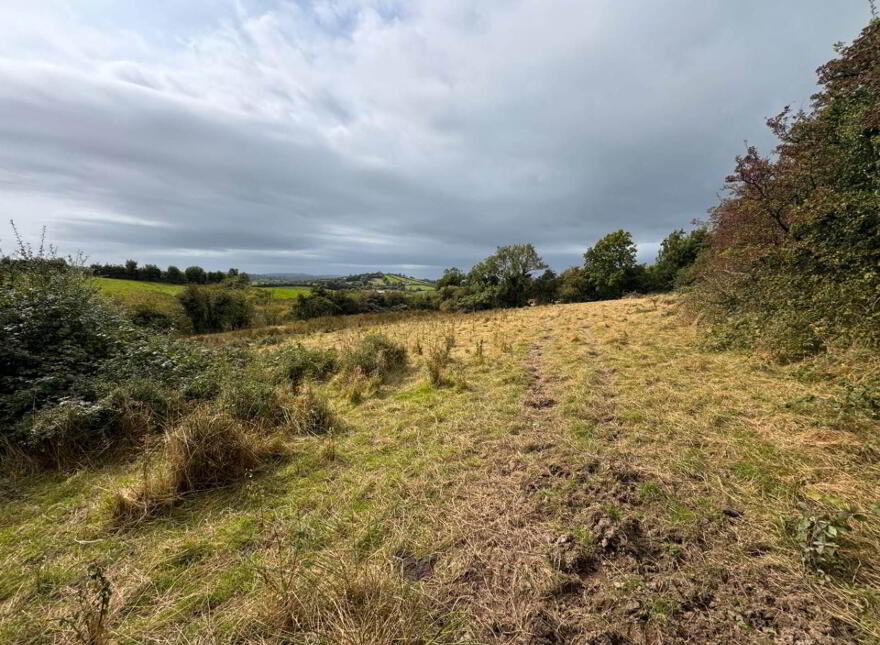 16 Acres @, Corleckduff, Shercock