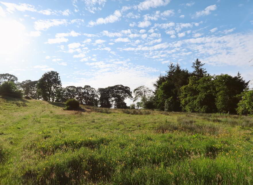 Development Site, Quarry Lane, Dungannon, BT70 1QJ