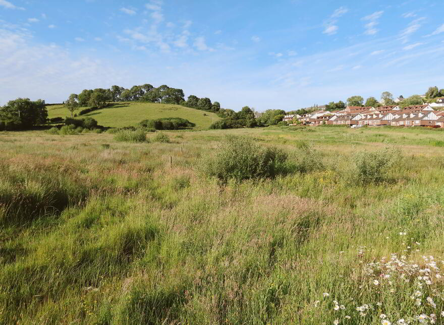 Development Site, Quarry Lane, Dungannon, BT70 1QJ