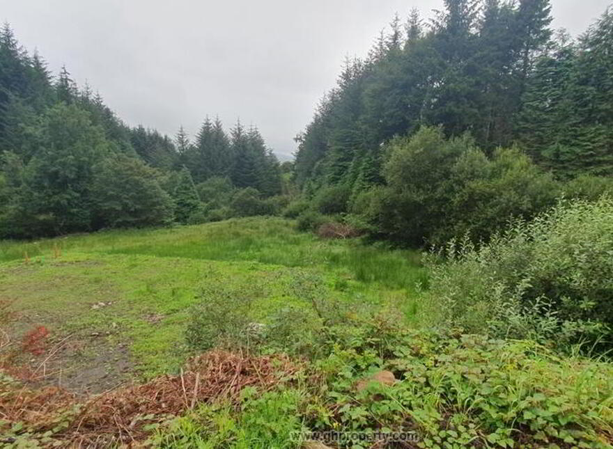 Ballynashee, Geevagh, F52T279