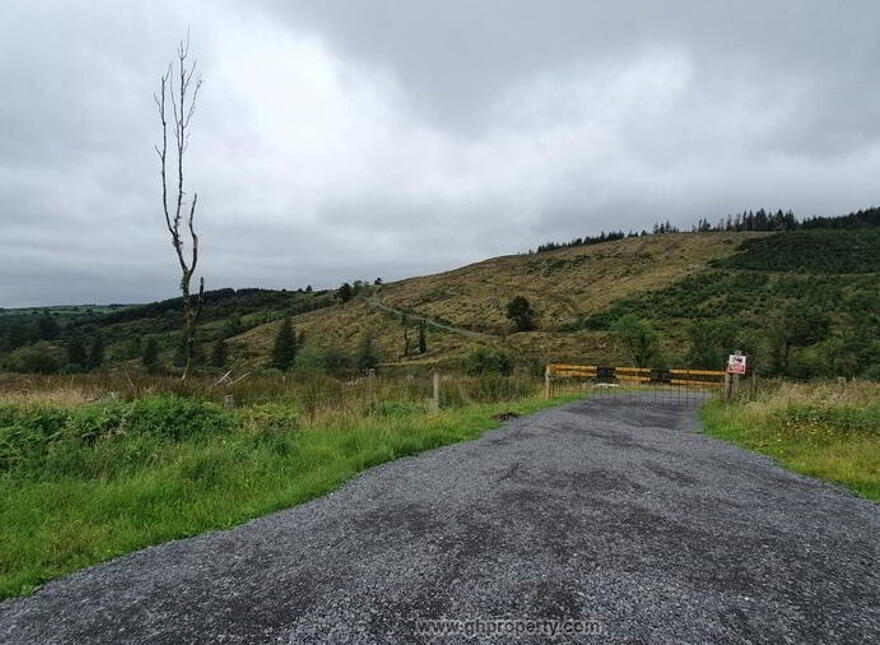 Ballynashee, Geevagh, F52T279