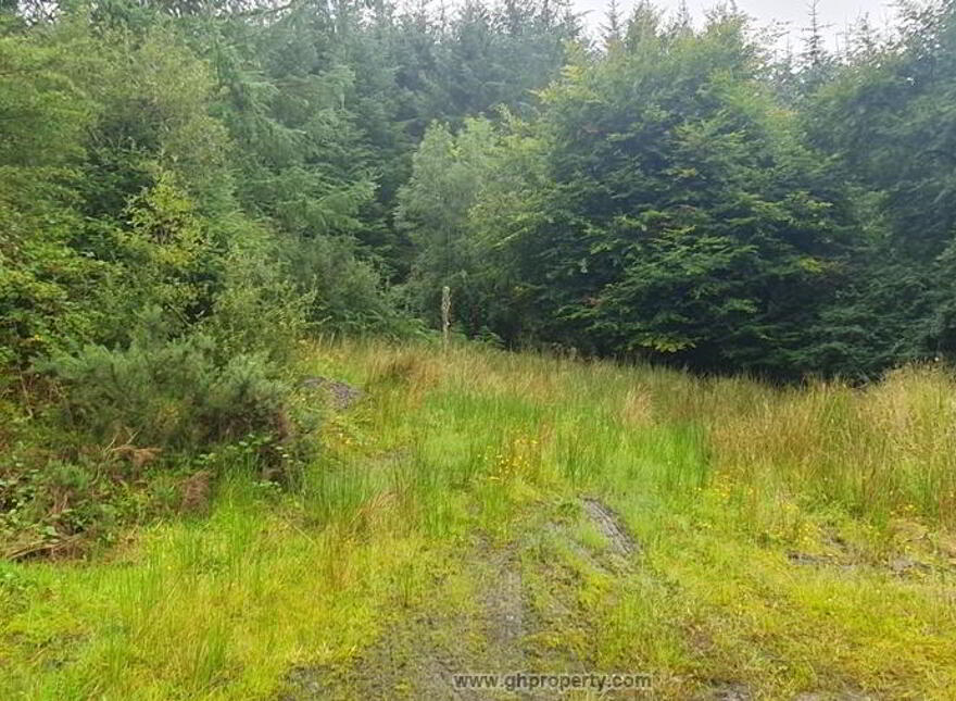Ballynashee, Geevagh, F52T279