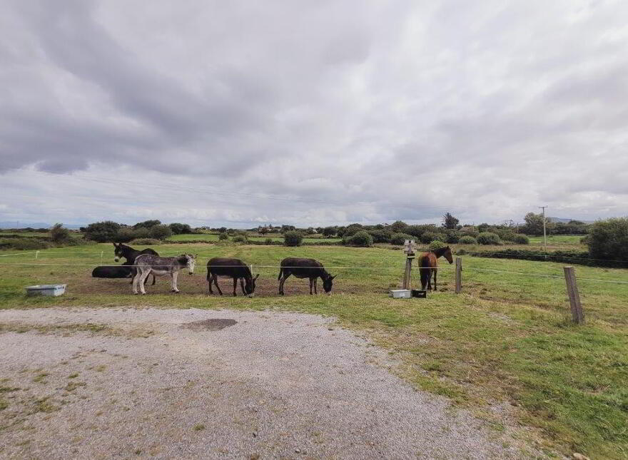 Horseshoe Farm", Castlegal, Cliffoney, F91YX36
