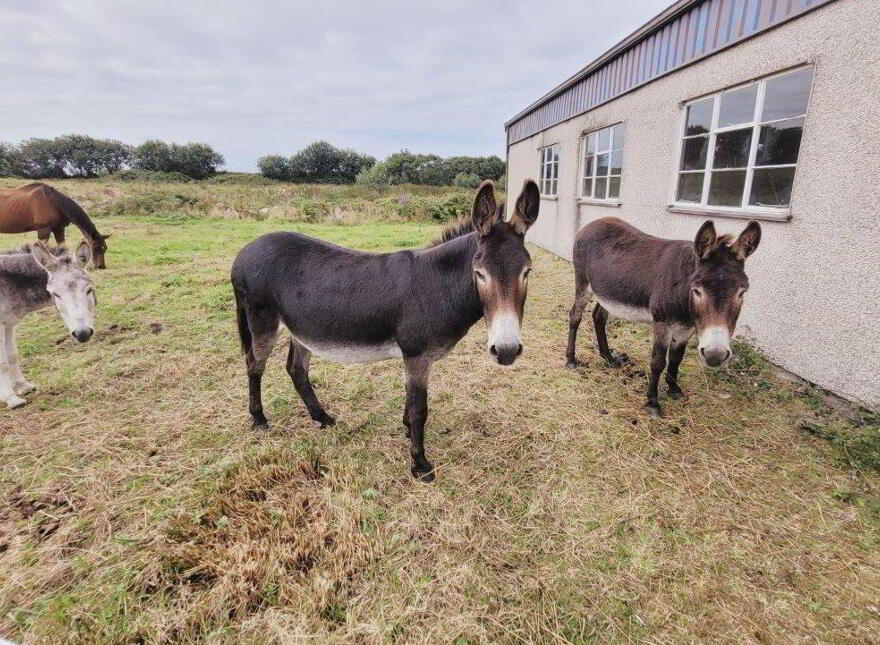 Horseshoe Farm", Castlegal, Cliffoney, F91YX36