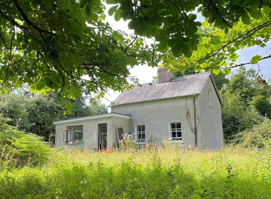 Inchmore, Loughree, Athlone
