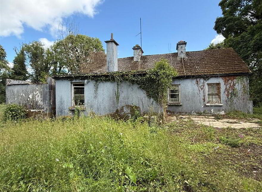 Drumnalasson, Ballaghaderreen, F45KV20
