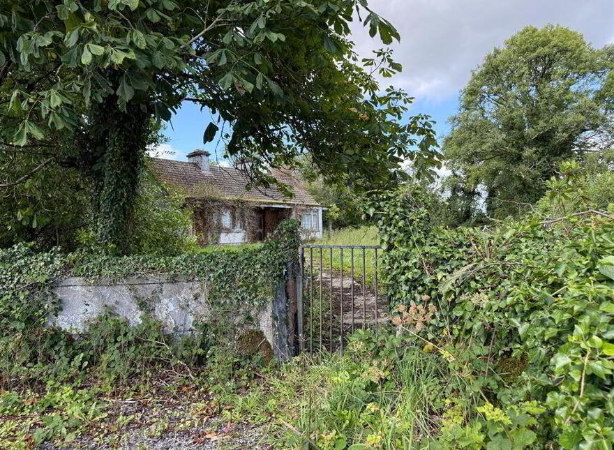 Drumnalasson, Ballaghaderreen, F45KV20