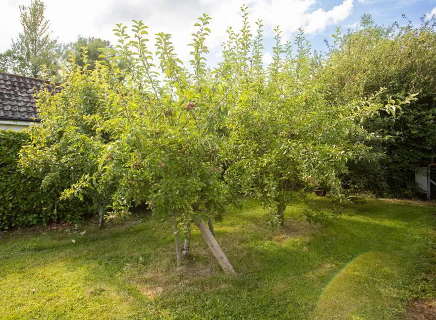 Birdhaven Cottage, Dublin Road, Milltownpass, N91H7K8