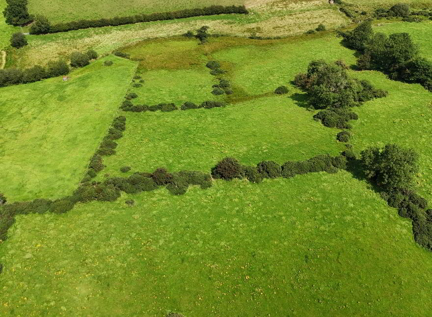 Excellent 12.5 Acre Farm, Kilnahusogue Road, Fintona, Omagh, BT78 2EL