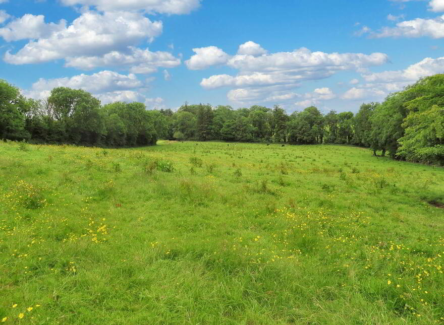 Lacka Lower, Broadford, P56EK09