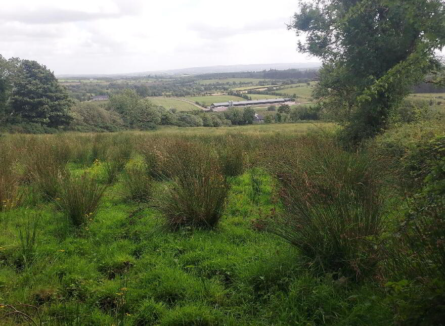 107 Tattysallagh Road, Omagh, BT78 4RQ